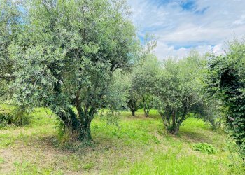 Foto 10 - Rustico via antico, Belvedere Ostrense - foto 10