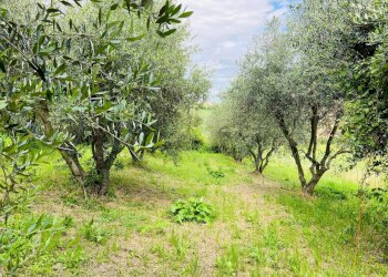 Foto 11 - Rustico via antico, Belvedere Ostrense - foto 11