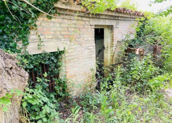 Foto 14 - Rustico via antico, Belvedere Ostrense - foto 14