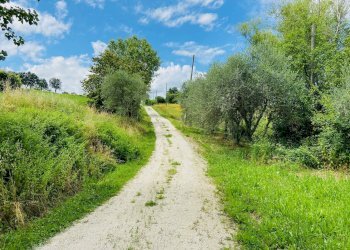 Foto 15 - Rustico via antico, Belvedere Ostrense - foto 15