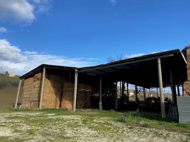 Foto 2 - Rustico Ostra - foto 2