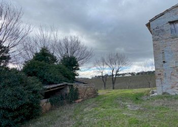 Foto 8 - Rustico Ostra - foto 8