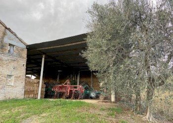 Foto 9 - Rustico Ostra - foto 9