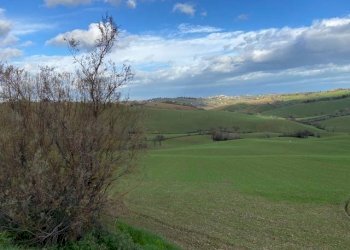 Foto 9 - Rustico via san martino, Belvedere Ostrense - foto 9