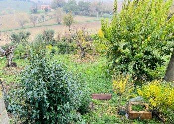 Foto 30 - Rustico via pozzolungo, Belvedere Ostrense - foto 30