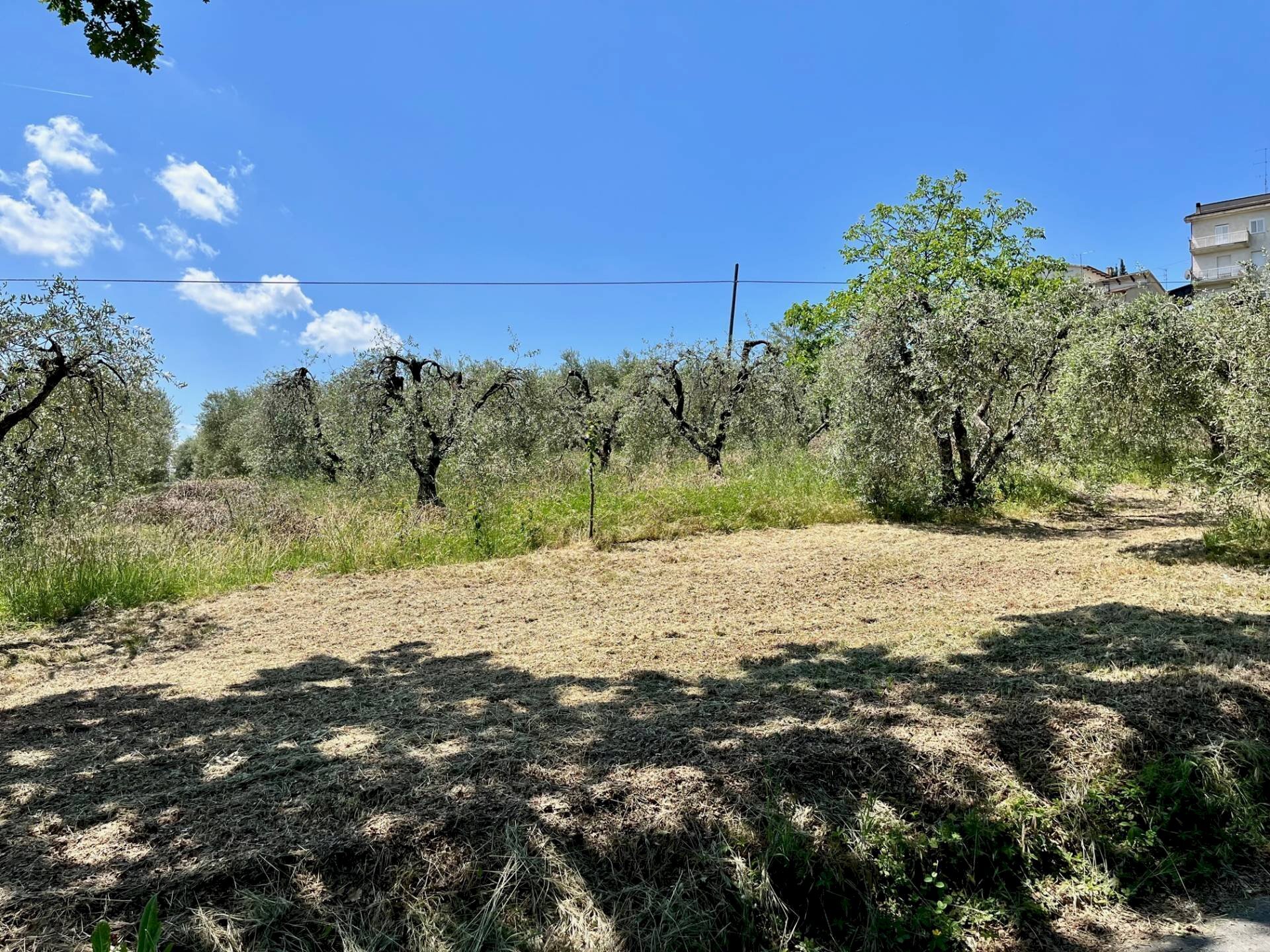 Foto 2 - Terreno agricolo via valle, Monte San Pietrangeli - foto 2