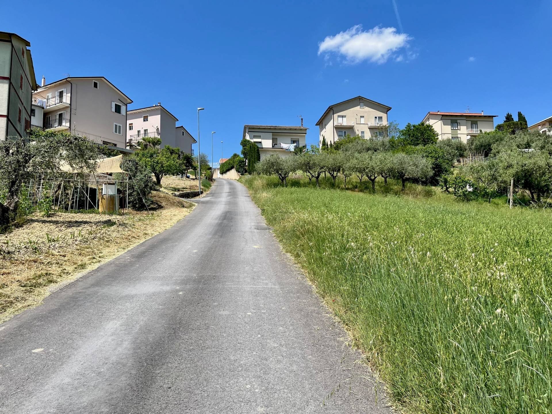 Foto 3 - Terreno agricolo via valle, Monte San Pietrangeli - foto 3