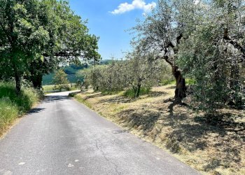 Foto 1 - Terreno agricolo via valle, Monte San Pietrangeli - foto 1