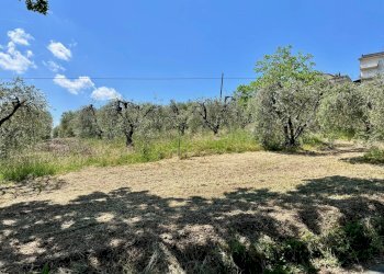 Foto 2 - Terreno agricolo via valle, Monte San Pietrangeli - foto 2