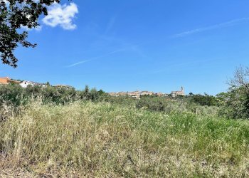 Foto 6 - Terreno agricolo via valle, Monte San Pietrangeli - foto 6