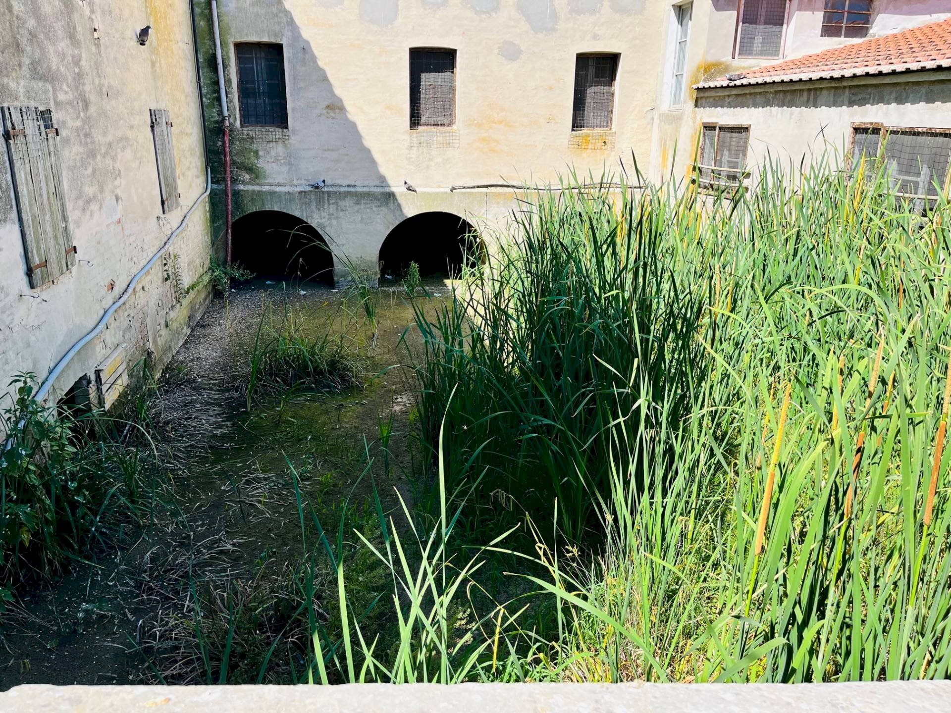 Foto 1 - Attico via madonna del piano
 
112, Corinaldo - foto 1