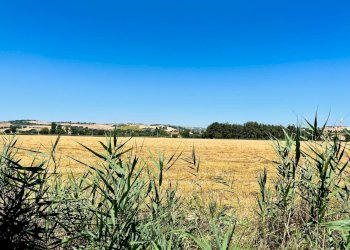 Foto 31 - Attic via madonna del piano
 
112, Corinaldo - photo 31