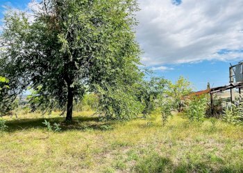 Foto 7 - Rustico via boccafosca, Ostra - foto 7