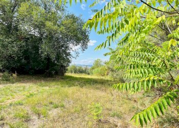 Foto 11 - Rustico via boccafosca, Ostra - foto 11