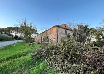 Foto 10 - Rustico via Malviano, Monte San Vito - foto 10