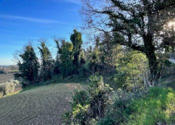 Foto 14 - Rustico via Malviano, Monte San Vito - foto 14