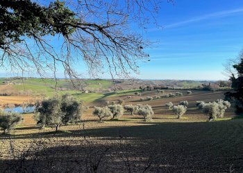 Foto 15 - Rustico via Malviano, Monte San Vito - foto 15