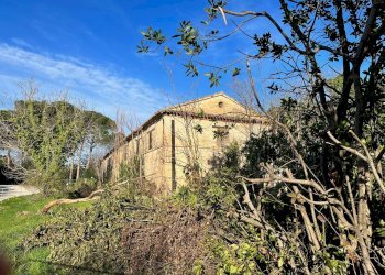 Foto 17 - Rustico via Malviano, Monte San Vito - foto 17