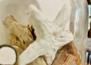 Foto 21 - Appartamento via Gian Battista Vico, Senigallia - foto 21