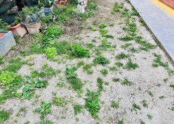 Foto 20 - Casa semi indipendente via Gian Battista Vico, Senigallia - foto 20