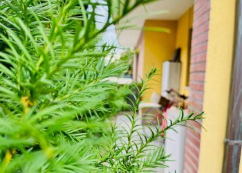 Foto 37 - Casa semi indipendente via Gian Battista Vico, Senigallia - foto 37