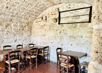 Foto 18 - Agriturismo Contrada Lago Castel Trosino
 
43, Ascoli Piceno - foto 18