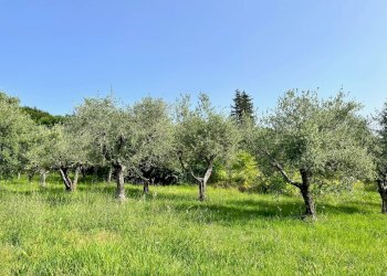 Foto 49 - Agriturismo Contrada Lago Castel Trosino
 
43, Ascoli Piceno - foto 49