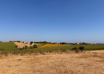 Foto 2 - Rustico via nocicchia, Montemarciano - foto 2