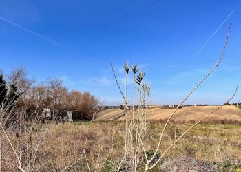 Foto 9 - Rustico via nocicchia, Montemarciano - foto 9