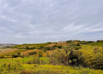 Foto 24 - Independent house via Sant'Amico, Morro d'Alba - photo 24