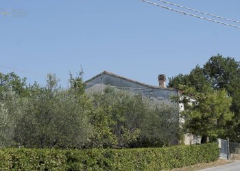 Foto 3 - Rustic contrada collevecchio, Ripatransone - photo 3