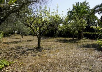 Foto 6 - Rustic contrada collevecchio, Ripatransone - photo 6