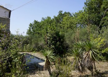 Foto 7 - Rustic contrada collevecchio, Ripatransone - photo 7