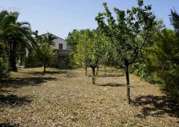 Foto 9 - Rustic contrada collevecchio, Ripatransone - photo 9