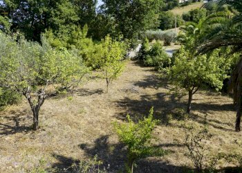 Foto 27 - Rustic contrada collevecchio, Ripatransone - photo 27