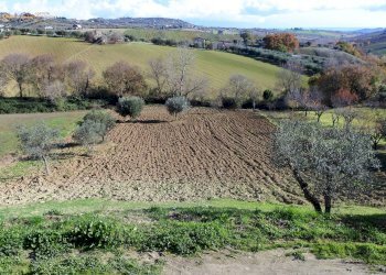 Foto 5 - Villa contrada Rio Moro
 
0, Colonnella - foto 5