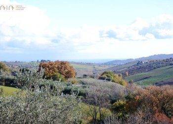 Foto 18 - Villa contrada Rio Moro
 
0, Colonnella - foto 18