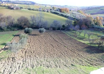 Foto 24 - Villa contrada Rio Moro
 
0, Colonnella - foto 24