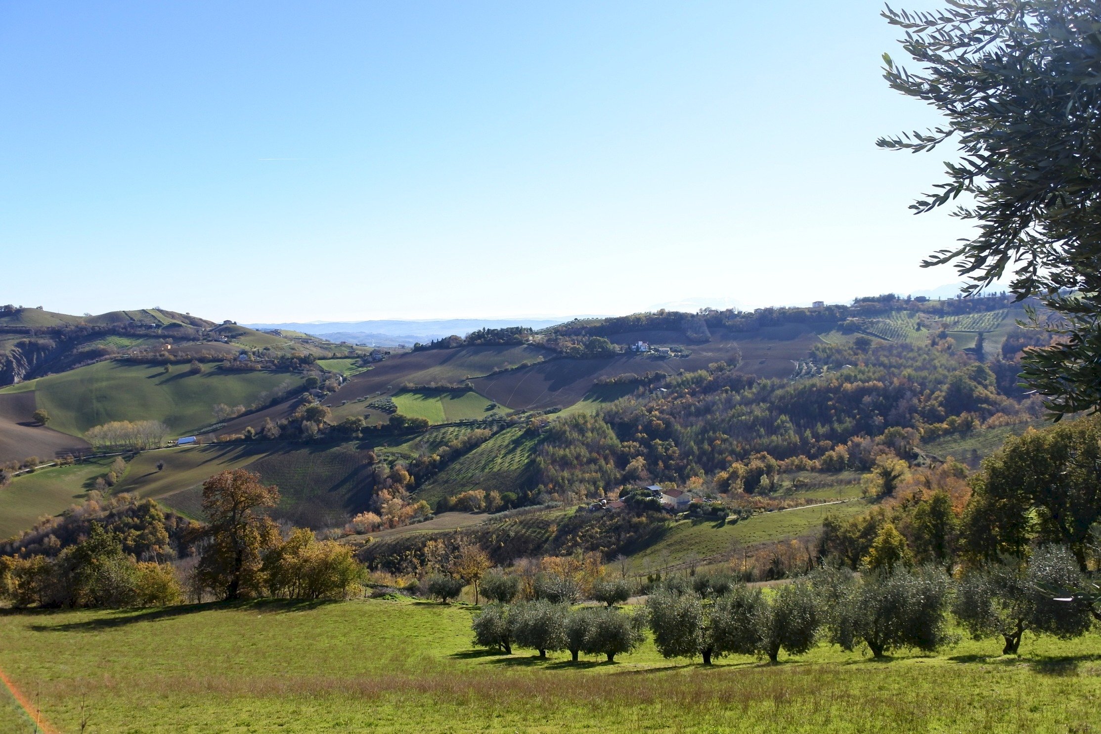 Foto 3 - Rustico Contrada Pittura, Castignano - foto 3