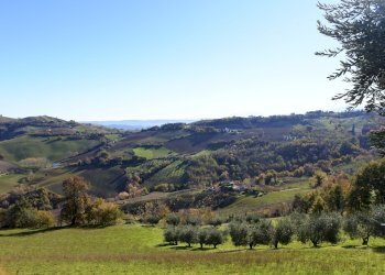 Foto 3 - Rustico Contrada Pittura, Castignano - foto 3