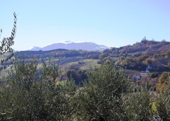 Foto 7 - Rustico Contrada Pittura, Castignano - foto 7