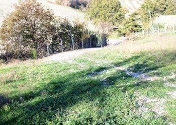 Foto 8 - Rustico Contrada Pittura, Castignano - foto 8