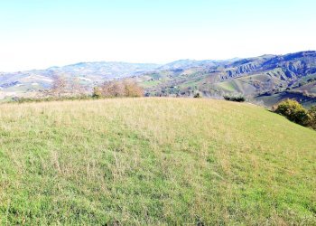 Foto 10 - Rustico Contrada Pittura, Castignano - foto 10