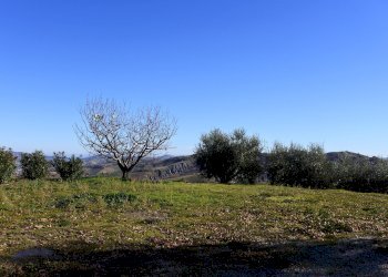 Foto 16 - Rustico Contrada Pittura, Castignano - foto 16