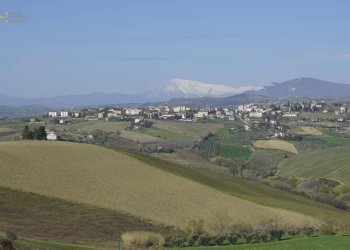 Foto 2 - Rustic Contrada S. Lazzaro, Offida - photo 2