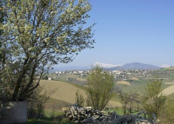 Foto 3 - Rustic Contrada S. Lazzaro, Offida - photo 3