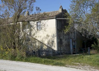 Foto 6 - Rustic Contrada S. Lazzaro, Offida - photo 6