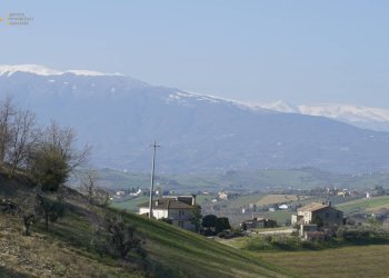 Foto 11 - Rustic Contrada S. Lazzaro, Offida - photo 11