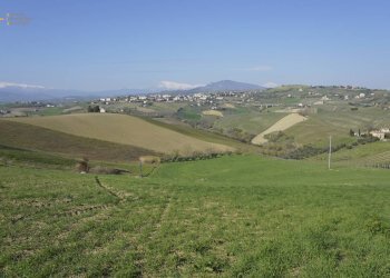 Foto 14 - Rustic Contrada S. Lazzaro, Offida - photo 14