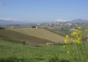 Foto 15 - Rustic Contrada S. Lazzaro, Offida - photo 15